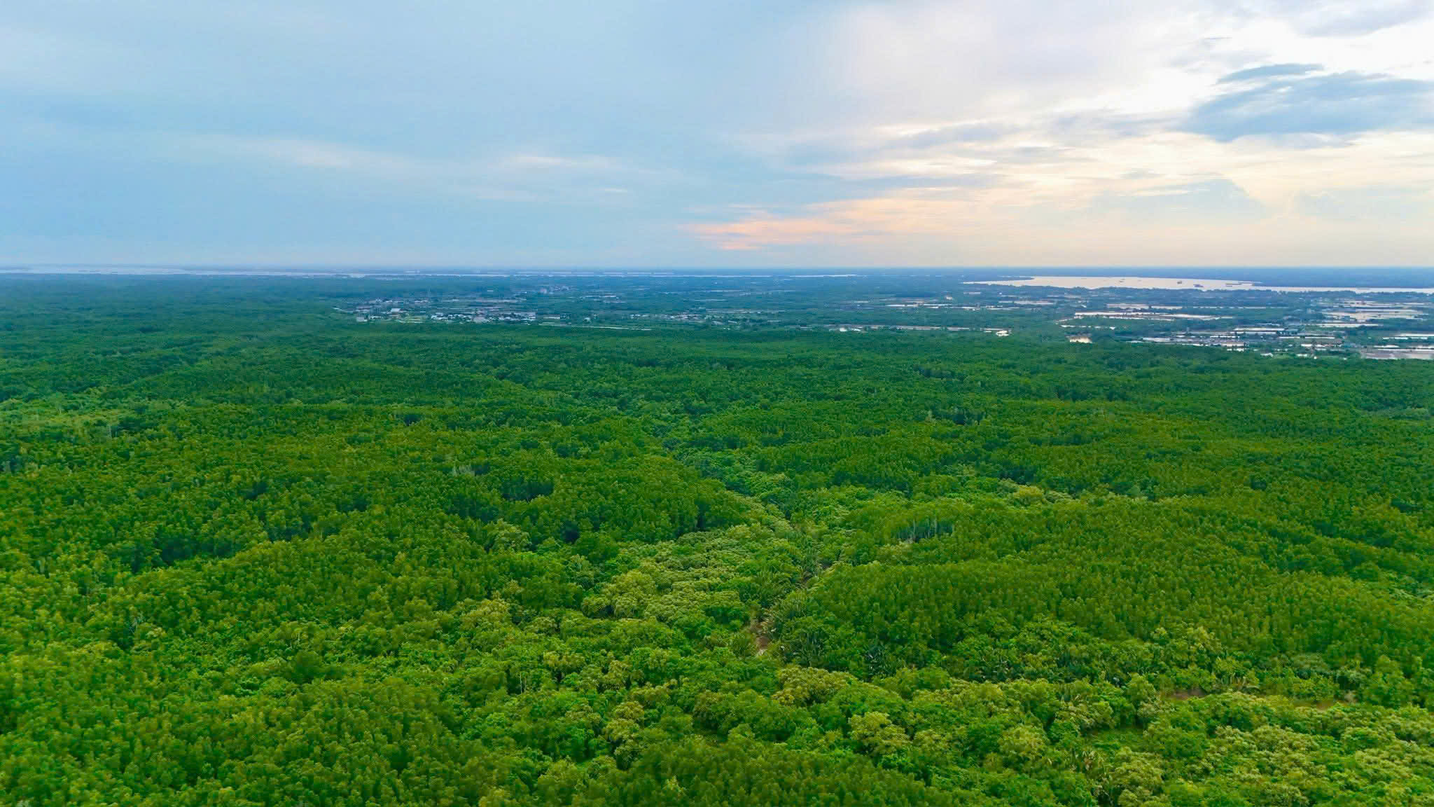 Bán nhà phố 100m2 giãn xây tại Vịnh Ngọc, Vinhomes Cần Giờ - Ảnh 5