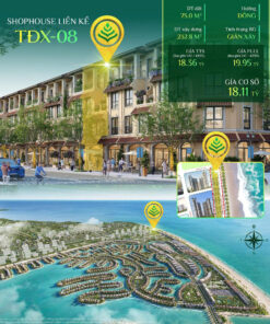 shophouse thương mại